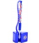 Caneta Roller Ball Com Base - Bahia - Produto oficial Licenciado